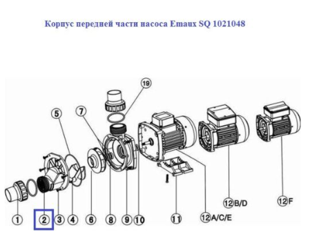 Корпус передней части насоса SQ AQUAVIVA 1021048 Станции водоснабжения #2